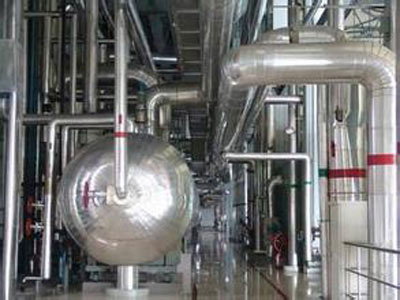 鞍山管道保温厂家 2025年12月31日全国主要批发市场金丝枣价格行情